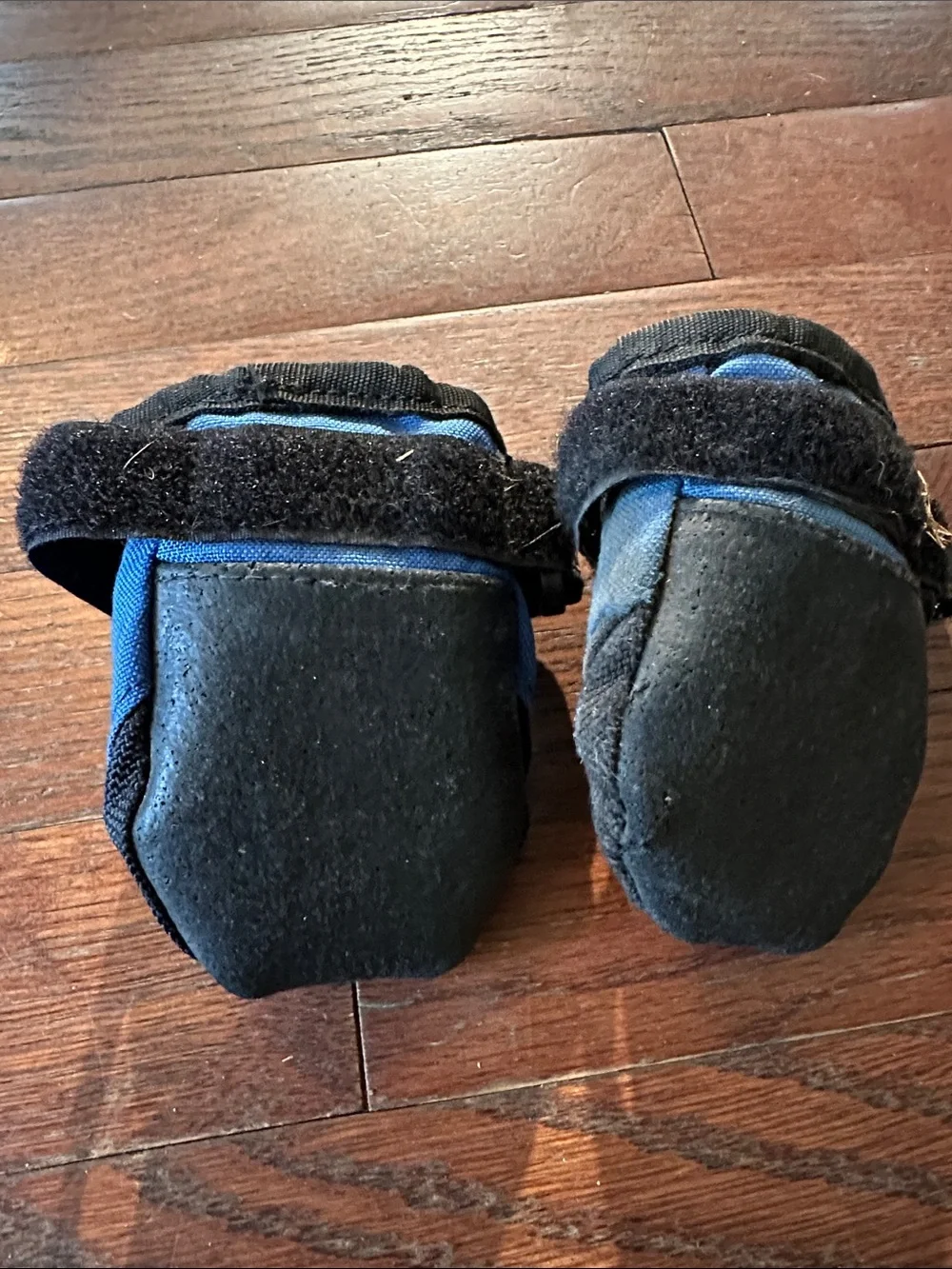 REI Dog Boots Medium